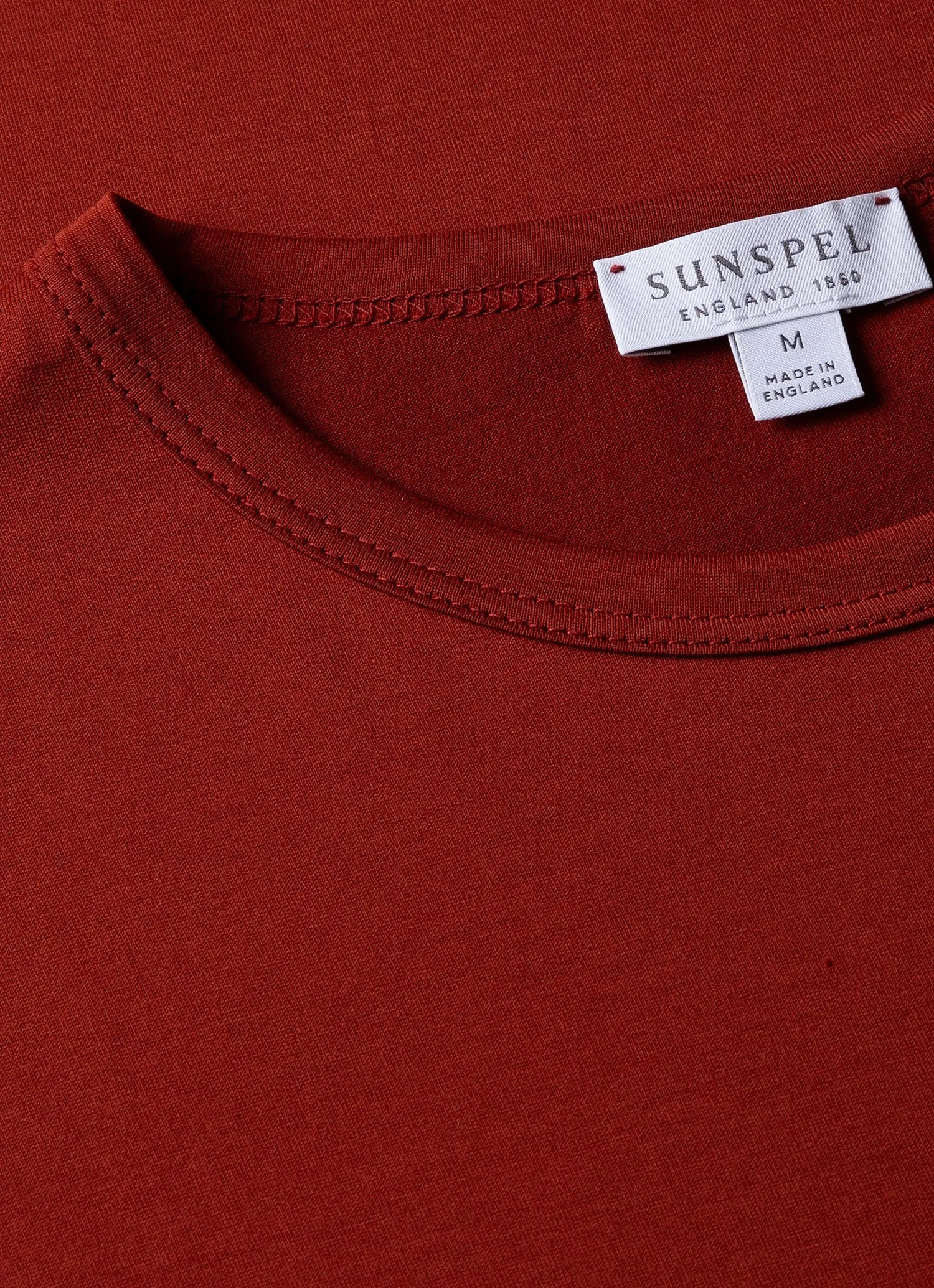 Men's Classic T-shirt in Rust