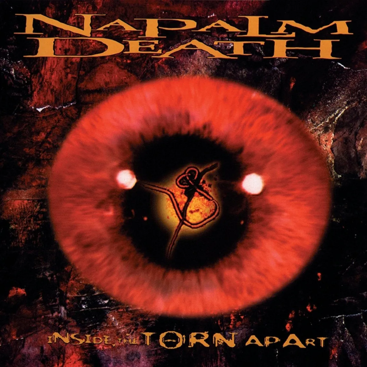 Napalm Death "Inside The Torn Apart" Black Vinyl