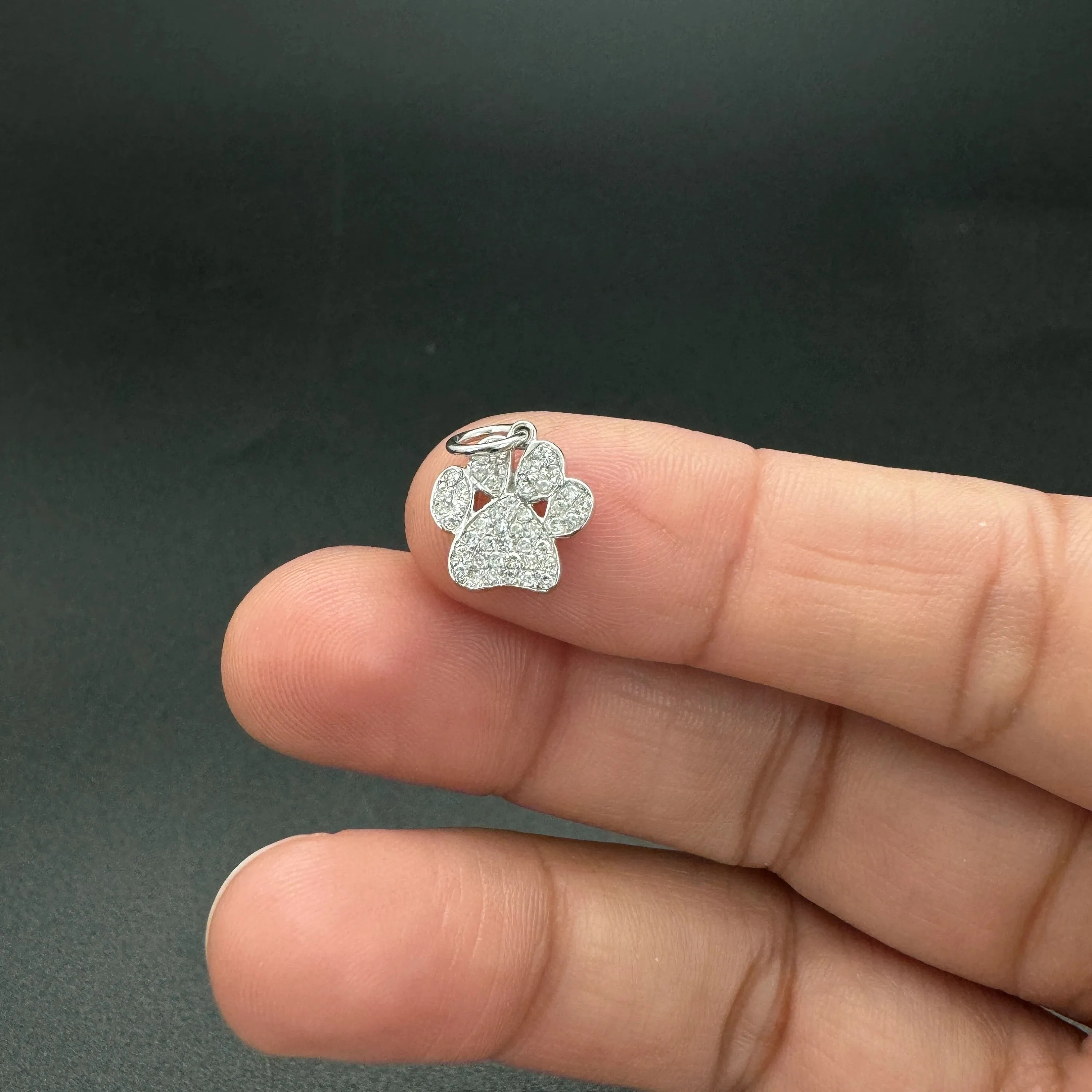 Paw Print charm