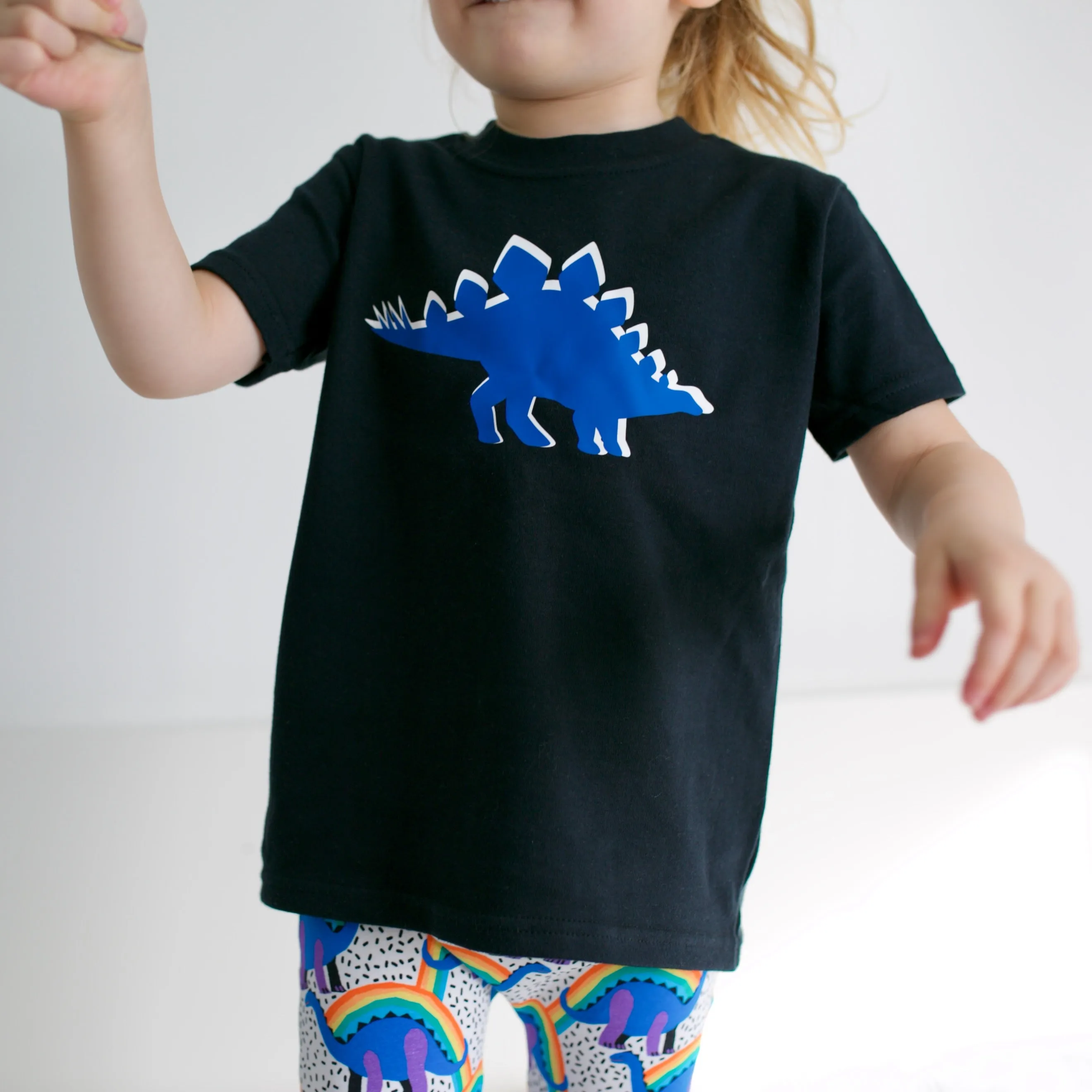 Stegosaurus Dino T shirt