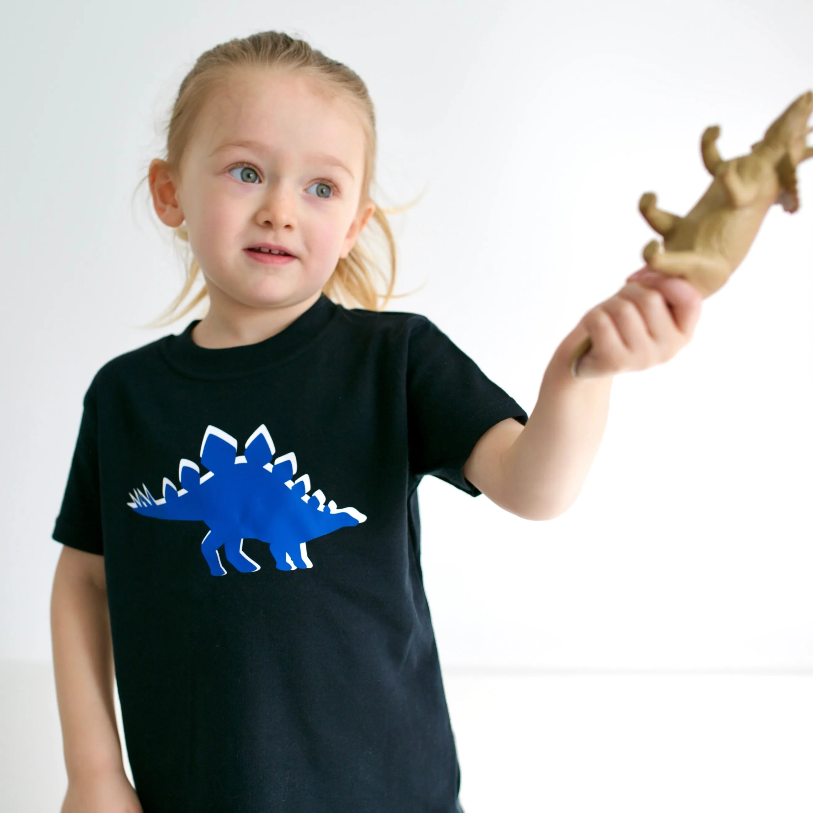 Stegosaurus Dino T shirt